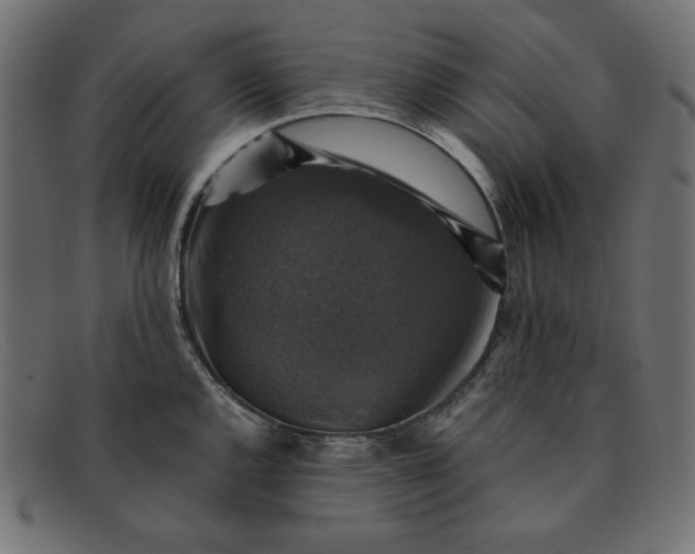 X0000091861144200709191111