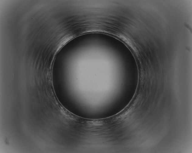 X0000091861145200709191111