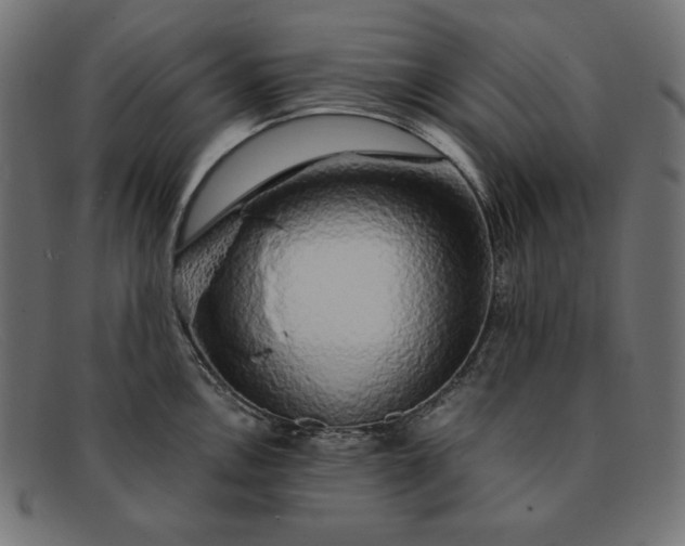 X0000091861146200709191111