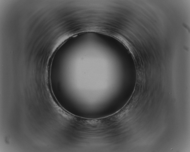 X0000091861147200709191111