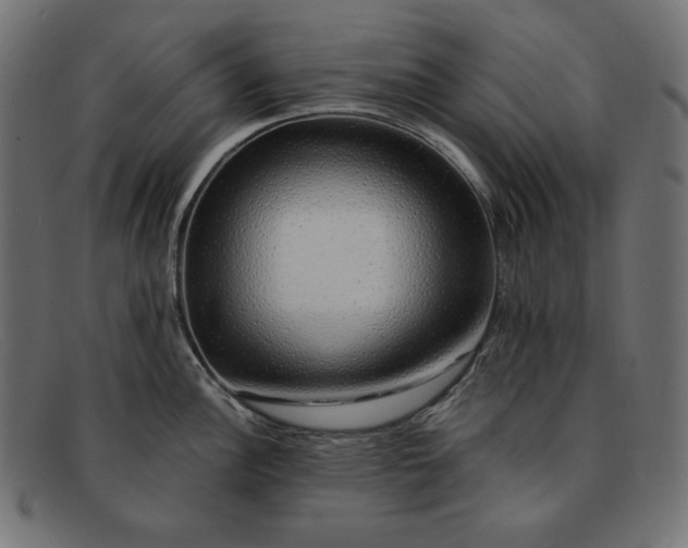 X0000091861148200709191111