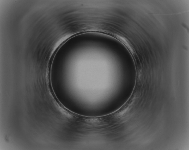 X0000091861149200709191111