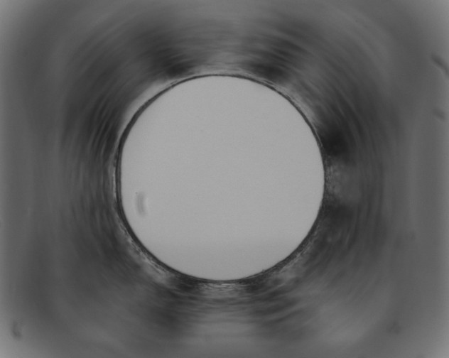 X0000091861150200709191111