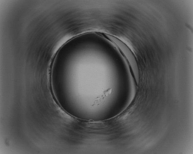 X0000091861151200709191111