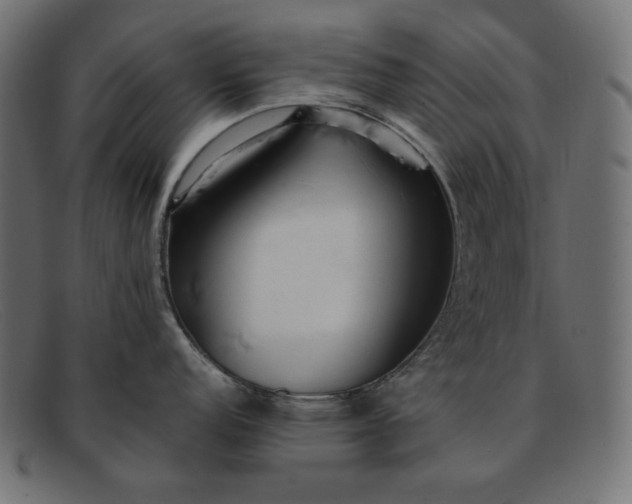 X0000091861152200709191111