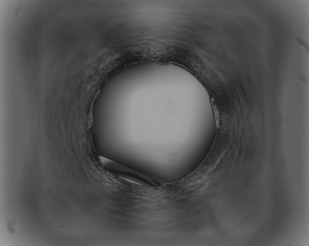 X0000091861153200709191110