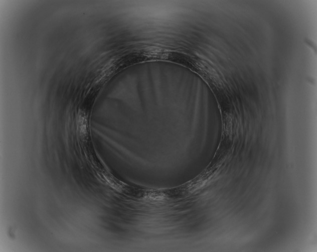 X0000091861154200709191110