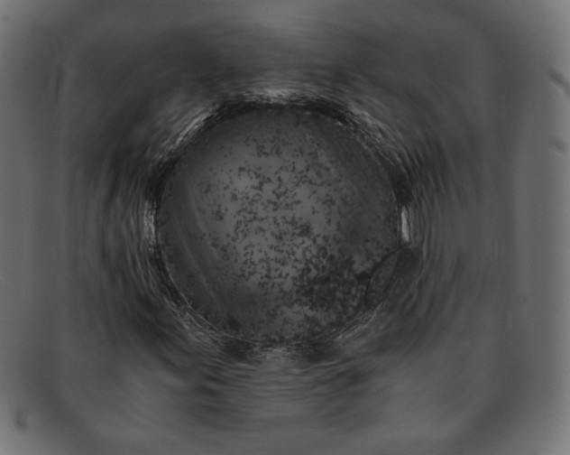 X0000091861155200709191110