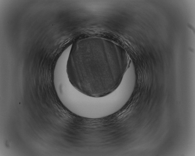 X0000091861156200709191110