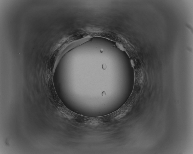 X0000091861157200709191110