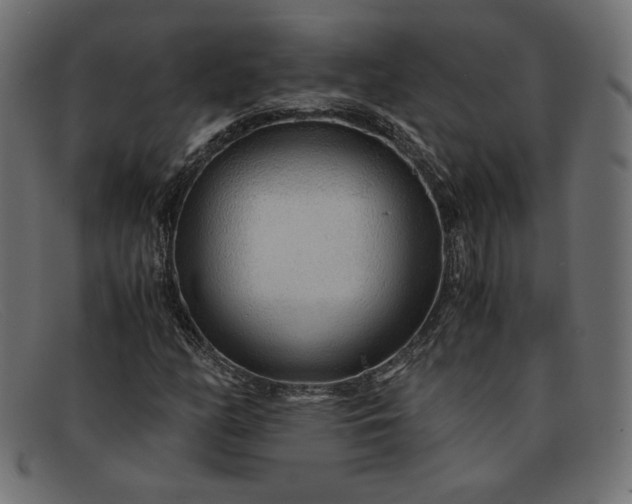 X0000091861158200709191110