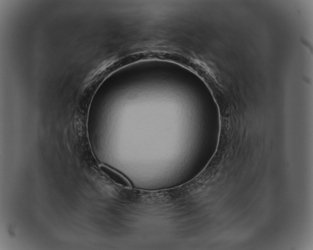 X0000091861159200709191110