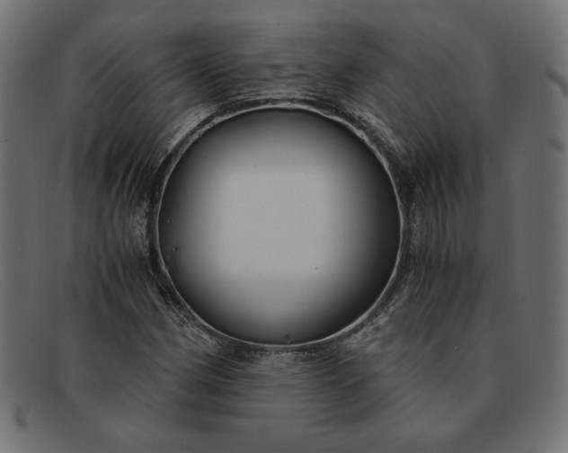 X0000091861162200709191110