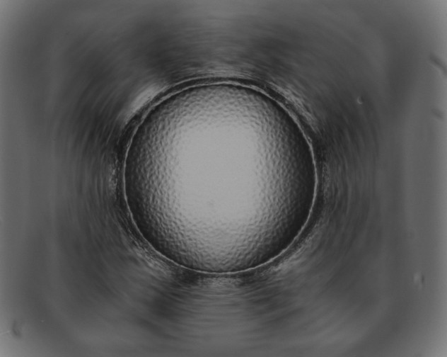 X0000091861163200709191110