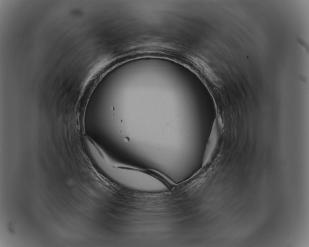 X0000091861164200709191110