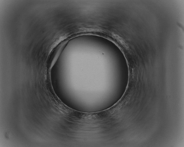 X0000091861165200709191110