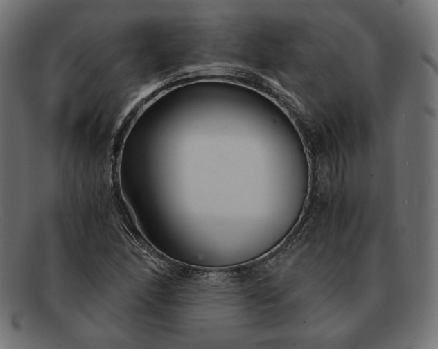 X0000091861166200709191110