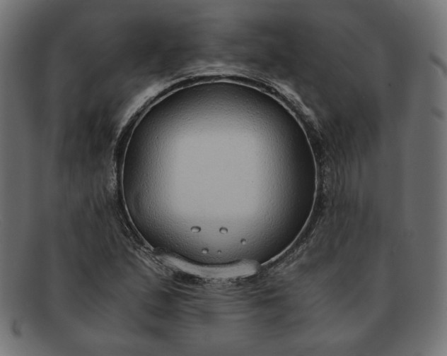 X0000091861167200709191110