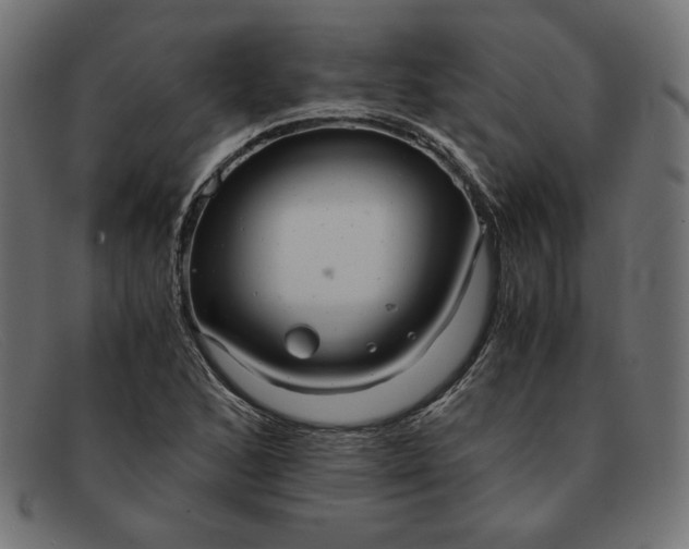 X0000091861168200709191110