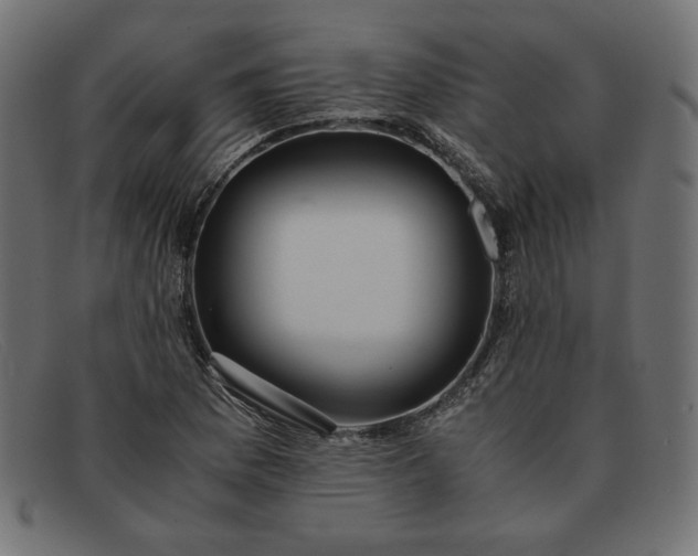 X0000091861169200709191110