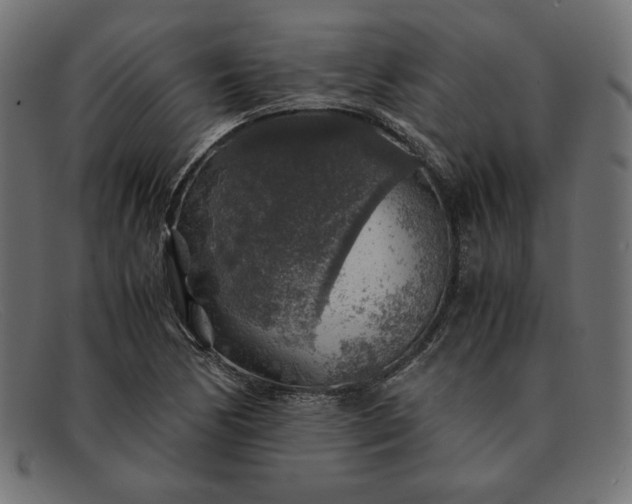 X0000091861170200709191110