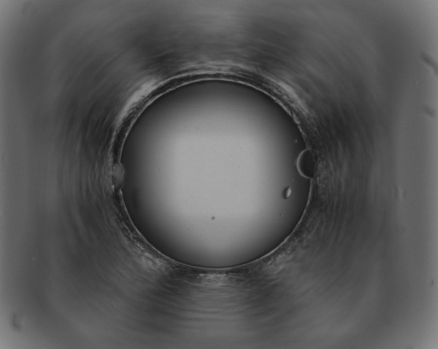 X0000091861172200709191110