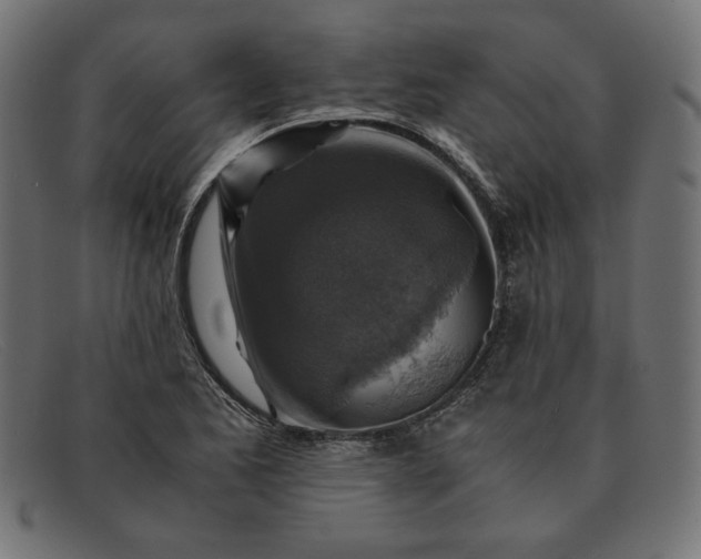 X0000091861173200709191110