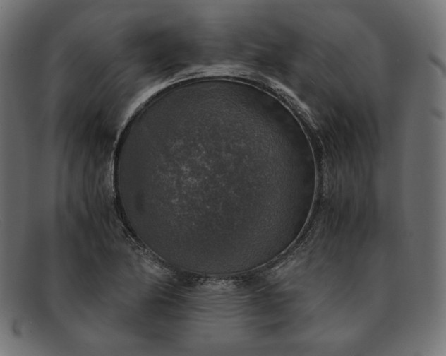 X0000091861174200709191110