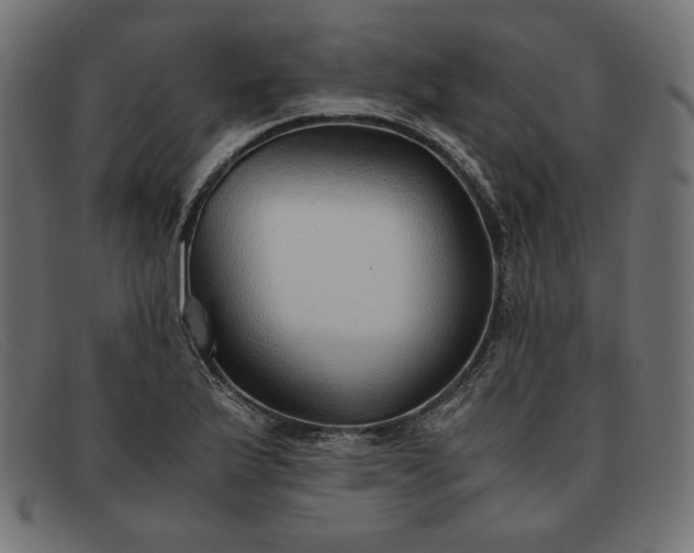 X0000091861175200709191110