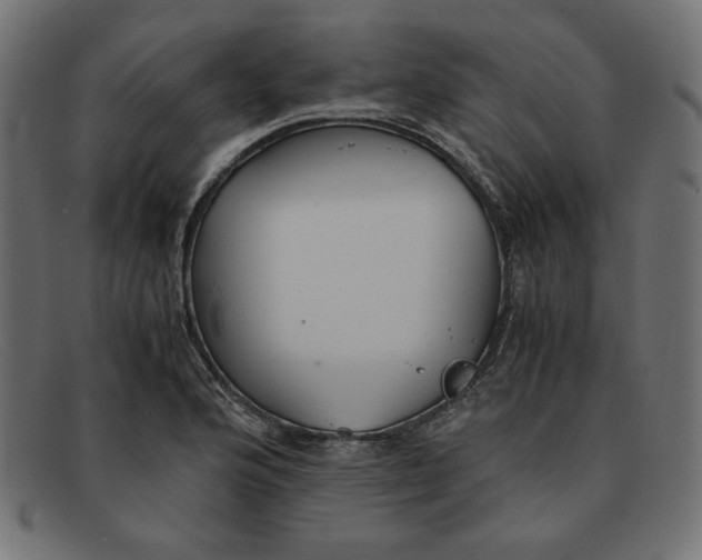 X0000091861176200709191110