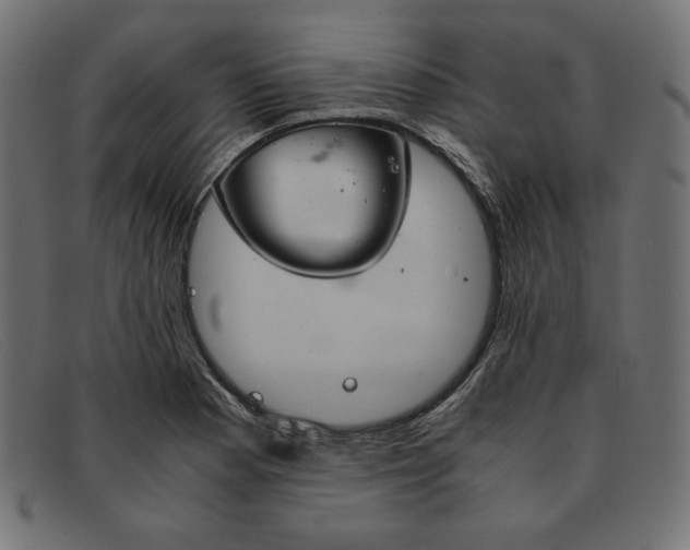 X0000091861177200709191110