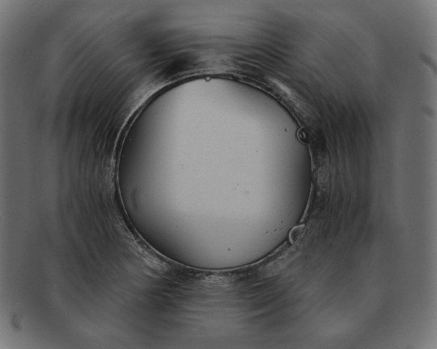 X0000091861178200709191110