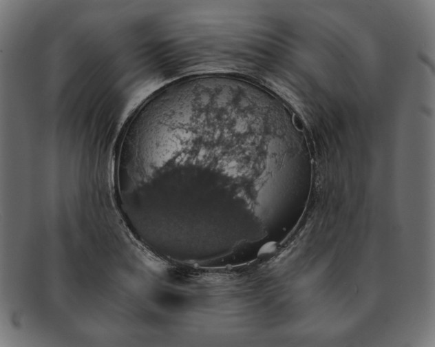 X0000091861179200709191110