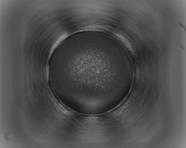 X0000091861180200709191110