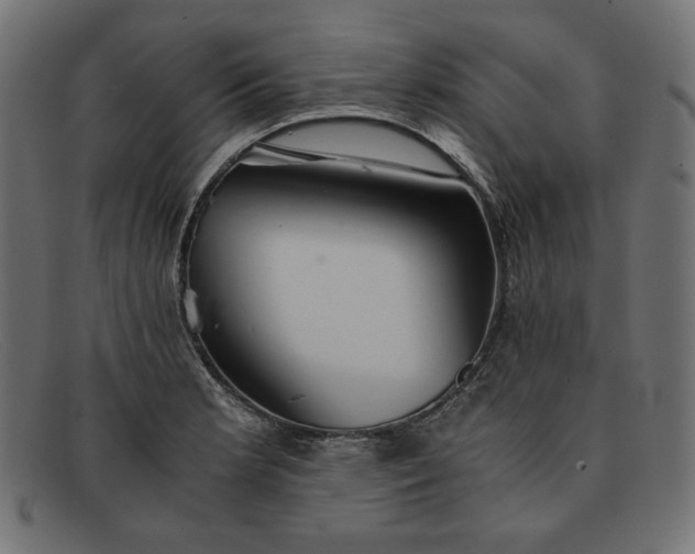 X0000091861181200709191110