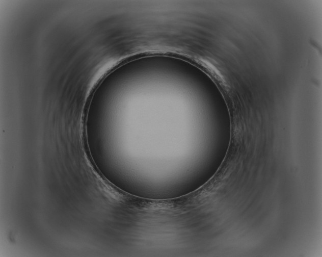 X0000091861183200709191110