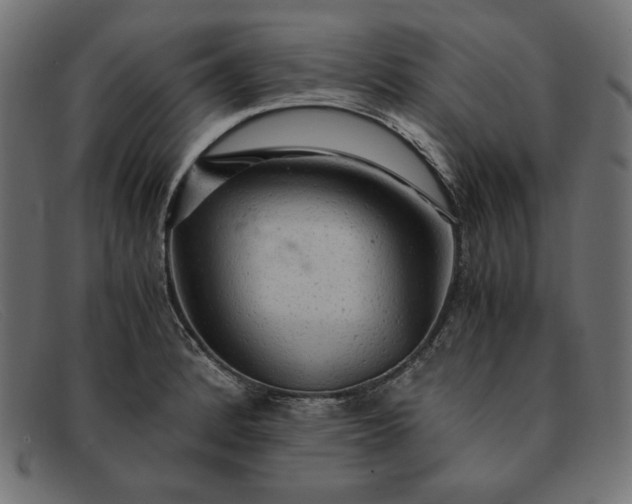 X0000091861184200709191110