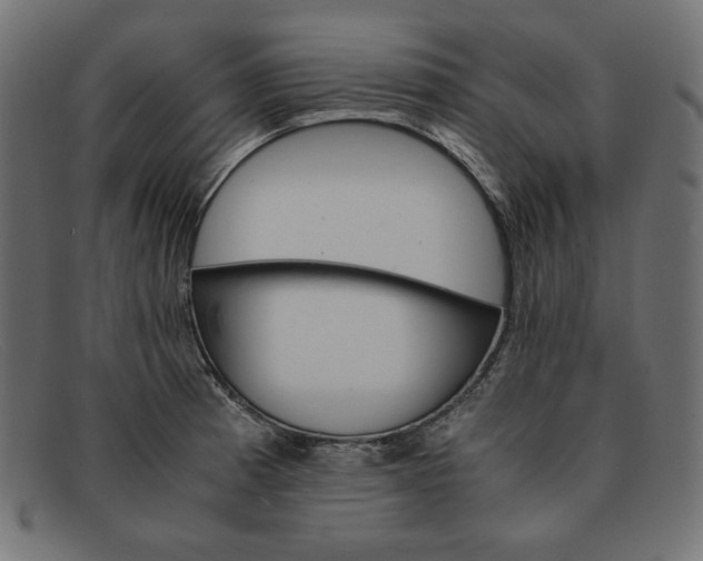 X0000091861185200709191110