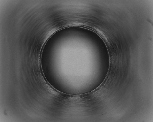 X0000091861186200709191110