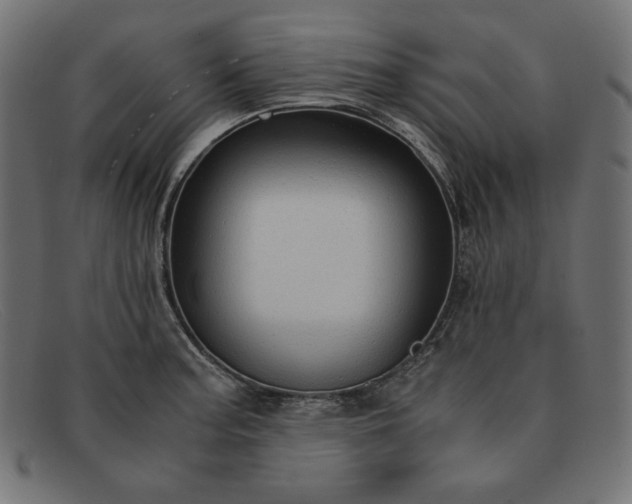 X0000091861187200709191110