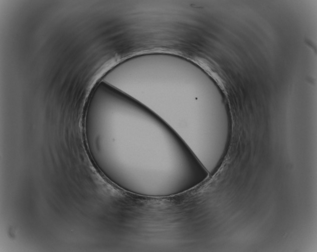 X0000091861189200709191110