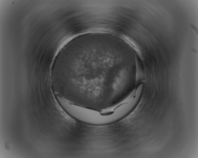 X0000091861192200709191110