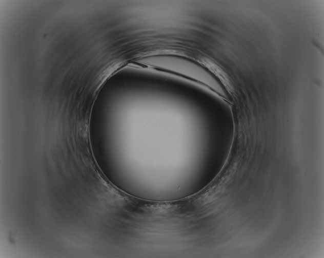 X0000091861193200709191110