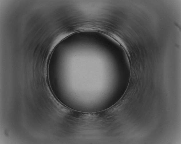 X0000091861195200709191110