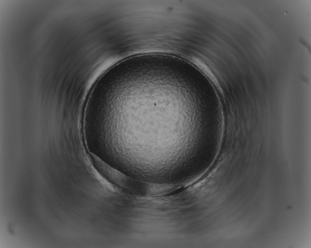 X0000091861197200709191110