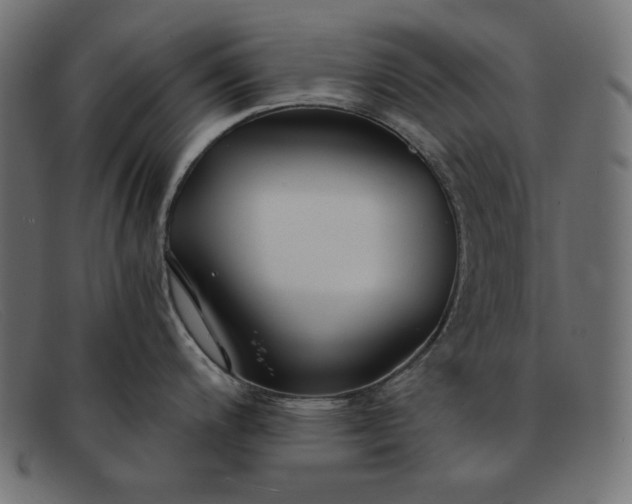 X0000091861200200709191110