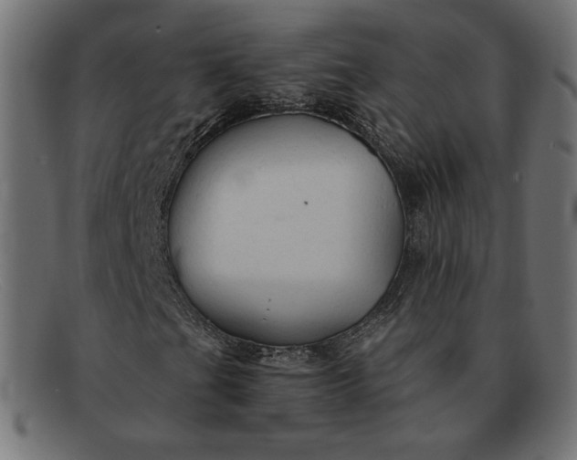 X0000091861201200709191109