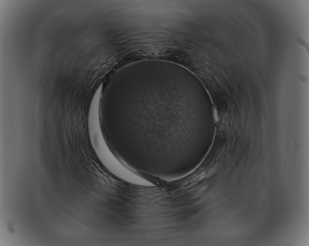 X0000091861202200709191109