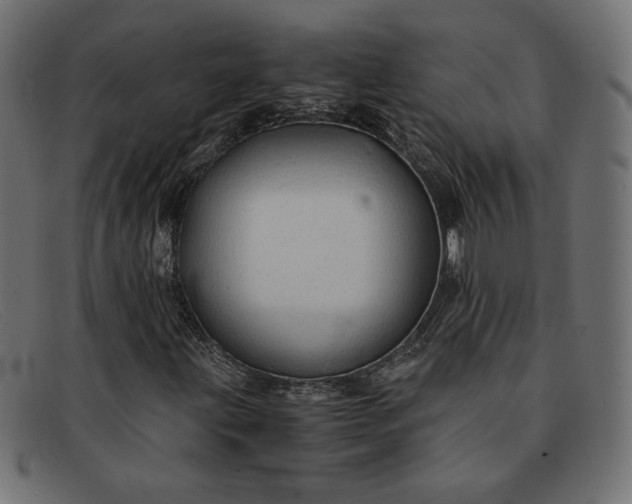 X0000091861203200709191109