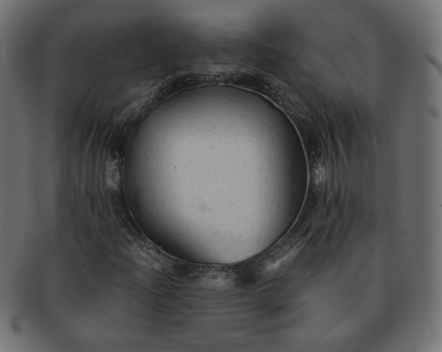 X0000091861204200709191109